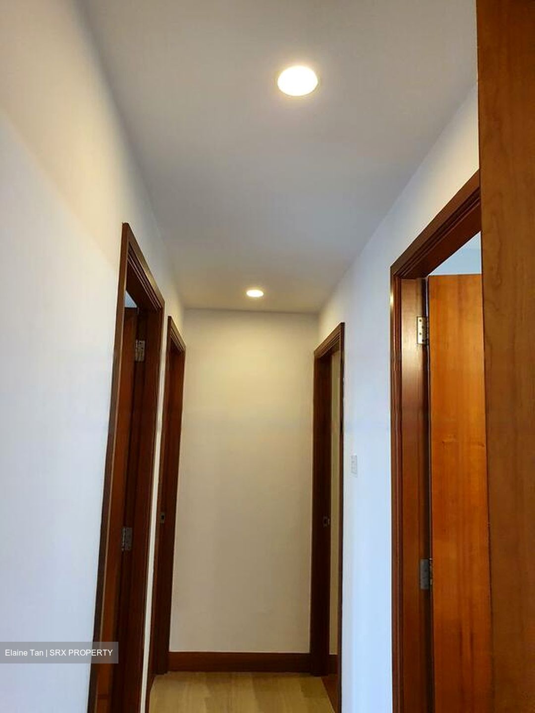Tanglin View (D3), Condominium #460981301